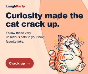LaughParty: Curiosity made the cat crack up. Follow these very unserious cats to your next favorite joke. Crack up.